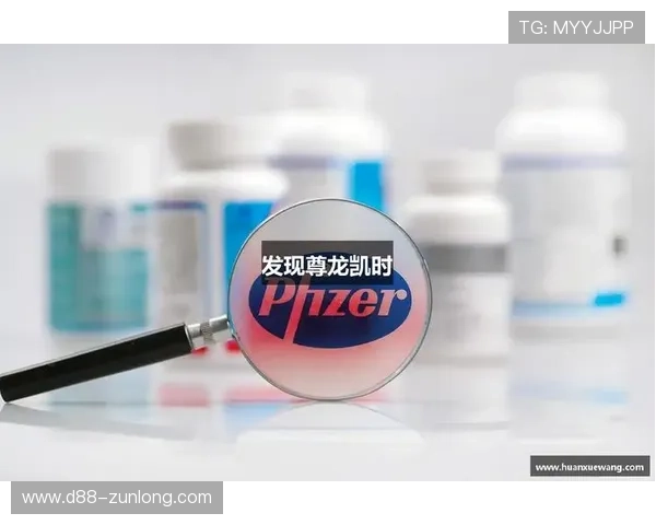 凯时尊龙：尊龙系列游戏的安全保障与玩家权益全面解析